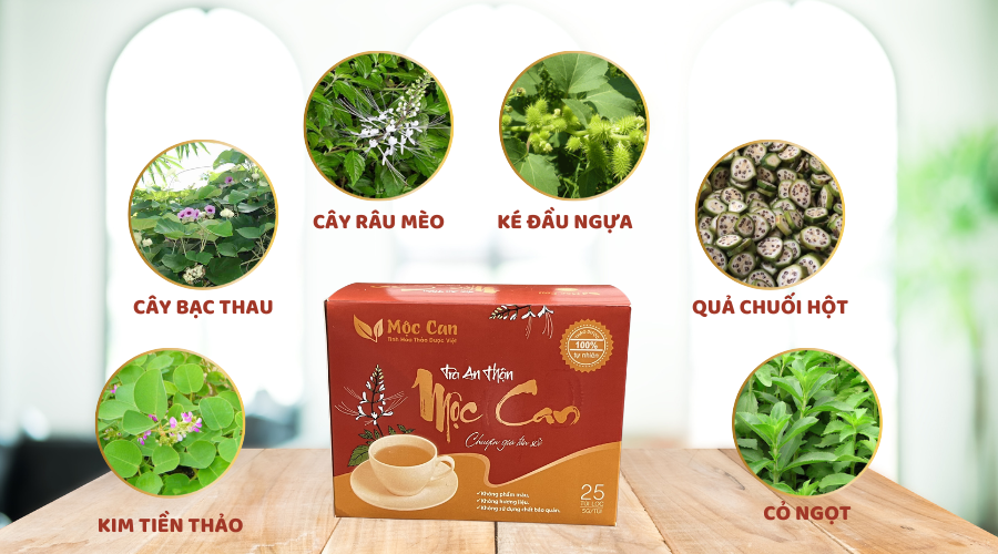 CÂY RÂU MÈO - THÔNG TIỂU, TRỪ SỎI THẬN 2 CÂY RÂU MÈO - THÔNG TIỂU, TRỪ SỎI THẬN 2